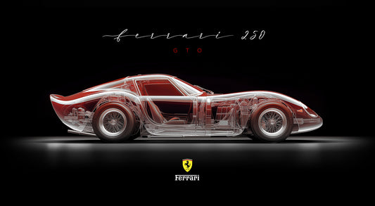 TRANSPARENCY - GTO BLACK POWER