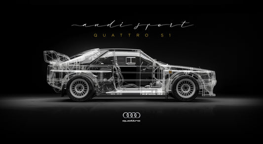 XRAY - QUATTRO S1
