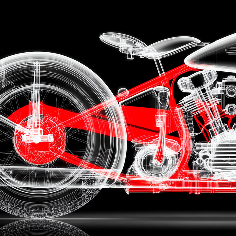 X-Ray Black&Red Harley