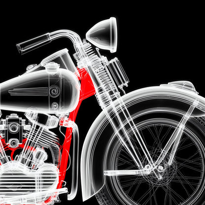 X-Ray Black&Red Harley